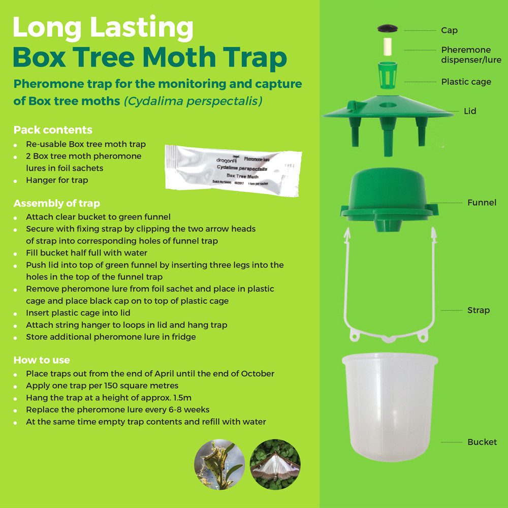 Box Tree Moth Pheromone Trap Setup – EBTS UK