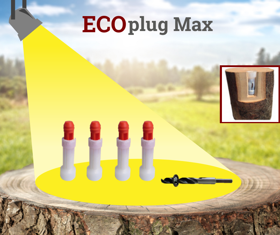 ECO Plugs